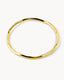 Brazalete Delfina
